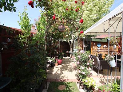 Picture 11